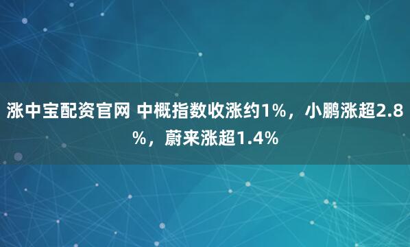 涨中宝配资官网 中概指数收涨约1%，小鹏涨超2.8%，蔚来涨超1.4%
