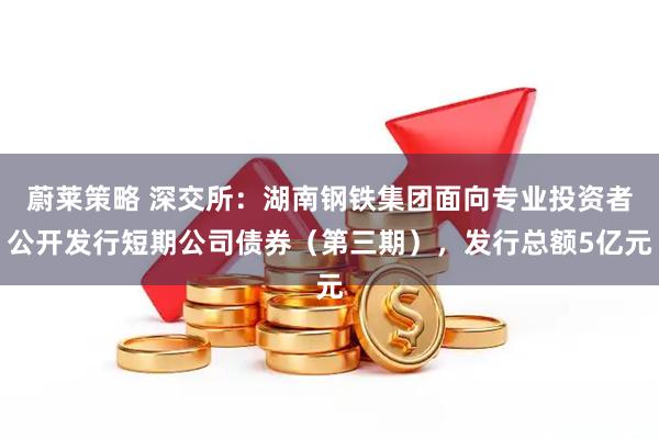 蔚莱策略 深交所：湖南钢铁集团面向专业投资者公开发行短期公司债券（第三期），发行总额5亿元