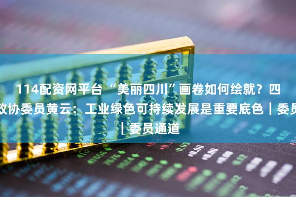 114配资网平台 “美丽四川”画卷如何绘就？四川省政协委员黄云：工业绿色可持续发展是重要底色｜委员通道