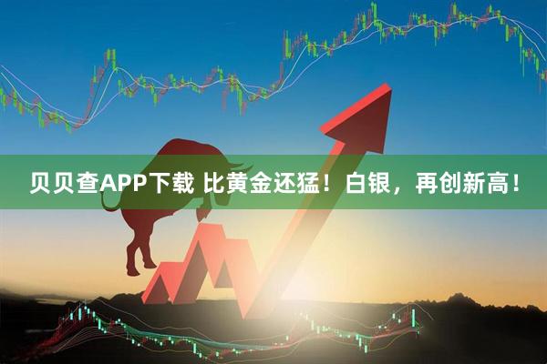 贝贝查APP下载 比黄金还猛！白银，再创新高！